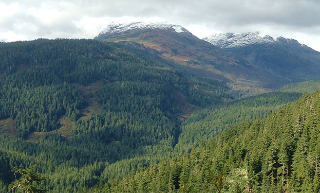 Co. Sees Highest Silver Grades Yet From BC Property