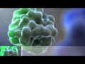 RVX Epigenetics Animation
