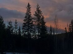 Junior Miner Targets 700% Potential Return in Cariboo District