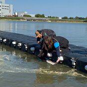 Infill Drill Results from Nova Scotia Impress Analyst