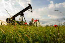 Solid Capital Returns Give This Texas Oil Co. a Buy Rating