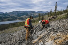 Gold Explorer Expands Yukon Footprint With 2,158 New Claims in US$3 Million Deal