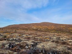 'Compelling Exploration Story' Could Get Tons Better: Expert