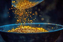 11Moz High-Grade Northwest Territories Project Becomes New Gold Co.