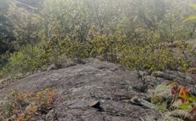 High-Grade Gold Hits in New Footwall Zones as Drilling Extends a 600-Meter Trend