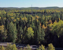 Explorer Seizes Full Stake in Ontario's Buried Gold