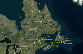 Jr. Miner Uncovers Massive Gold and Copper in Southeastern Newfoundland