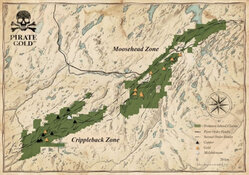 Mining Co. Uncovers 150m Gold Structure at Treasure Island's Moosehead Zone