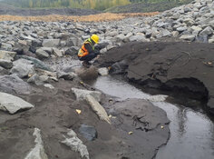 Gold Co. Looks to Advance Massive BC Project to Partnership