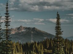 Gold Explorer Unveils New Targets in British Columbia