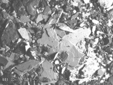 Mining Co. Finds High-Grade Tungsten Potential During 557% Market Rally