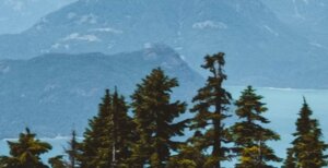 Major Copper Discovery Unveiled in British Columbia