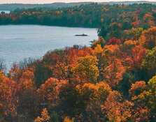 Gold Developer Delivers Breakthrough in Ontario