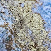 Kamloops Junior Gold 2026: Exploration Update & New Price Targets on the Charts