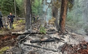 Climate Tech Firm Raises CA$1.29M to Expand AI Risk Tools in Canada