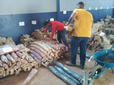 Gold Junior Advances District-Scale Discovery in Brazil's Madeira River
