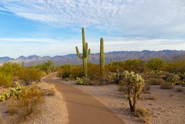 Arizona-Sonora Gold-Silver Explorer Set for Dual Maiden Resource Estimates in Q3/26