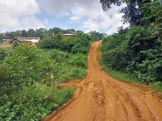 Pasofino Finds Excellent Gold Opportunity in Liberia