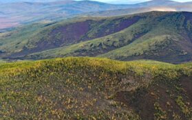 Junior Explorer Uncovers High-Grade Gold Zones in Yukon