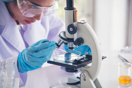 Biopharma Gains Another Shot on Goal With IND Approval