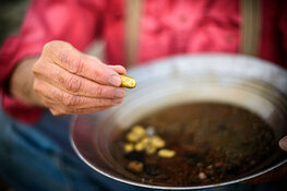 Gold Continues Backtests in This Slow June Period