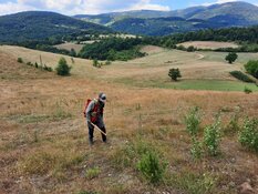 Tech Analyst Says To Stay Long With This Resource Co.