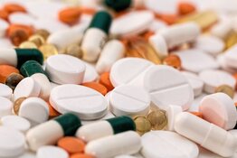 Biopharma Co. Hits Regulatory Hurdle in High-Priority Bird Flu Program