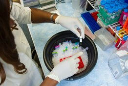 Phase 2b Trial of New Drug for Ovarian Cancer Starts