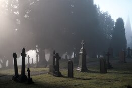 I See Dead Stocks