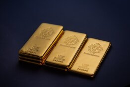 Expert Says Gold Co's Nevada Results are 'Punching Above Its Weight'