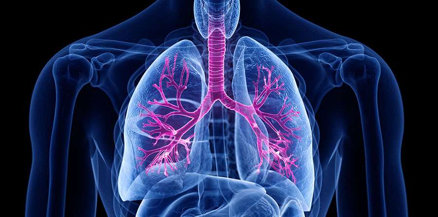 Pharmaceutical Firm Gains Ethics Approval for Phase 2 Human IPF and Chronic Cough Trial