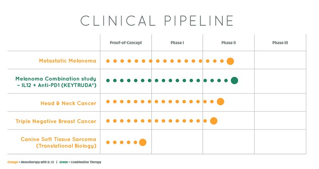 Oncosec Clinical Pipeline