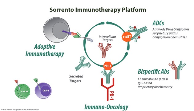 Sorrento Immunotherapy Platform