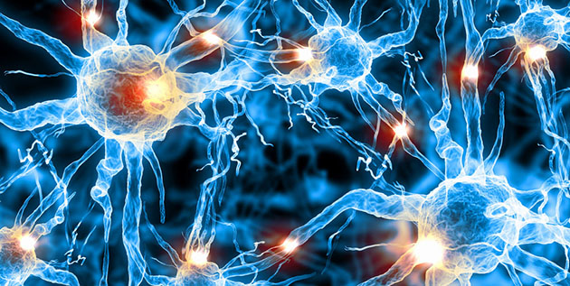 Drug Repurposer Ventures into New Area, Use of Psychedelic in Stroke