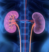 Will Pharma Co. Keep Pushing Higher After Full Data Set Released on Lung Disease Study?