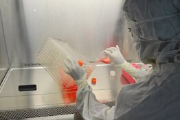 Karyopharm Pursues Myelofibrosis FDA Milestone
