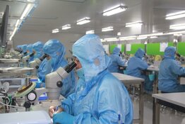 Sarepta Therapeutics Navigates FDA Hold on Elevidys in Expanding DMD Market