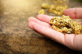 Gold Co. 'Is in Good Shape Financially' Despite Shortfall