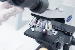 Sarepta Therapeutics Delivers Q2 Operating Profit as CEO Transition Advances Pipeline