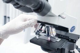 Massachusetts Biotech's Flagship Gene Therapy Posts Fifth Straight Quarterly Decline as Muscular Dystrophy Data Loom