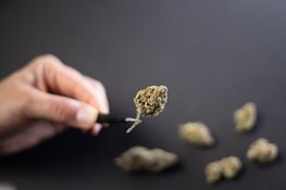 Cannabis Firm to Enter Colorado Market Via Acquisition