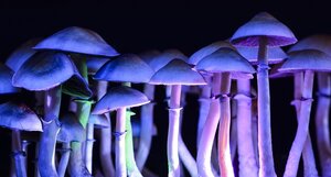 Psychedelic Drug Trials Accelerate as Decriminalization Spreads, Investment Expands