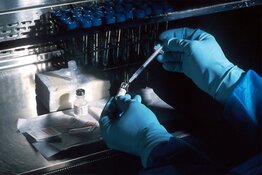 Sarepta Posts US$328.7M Results